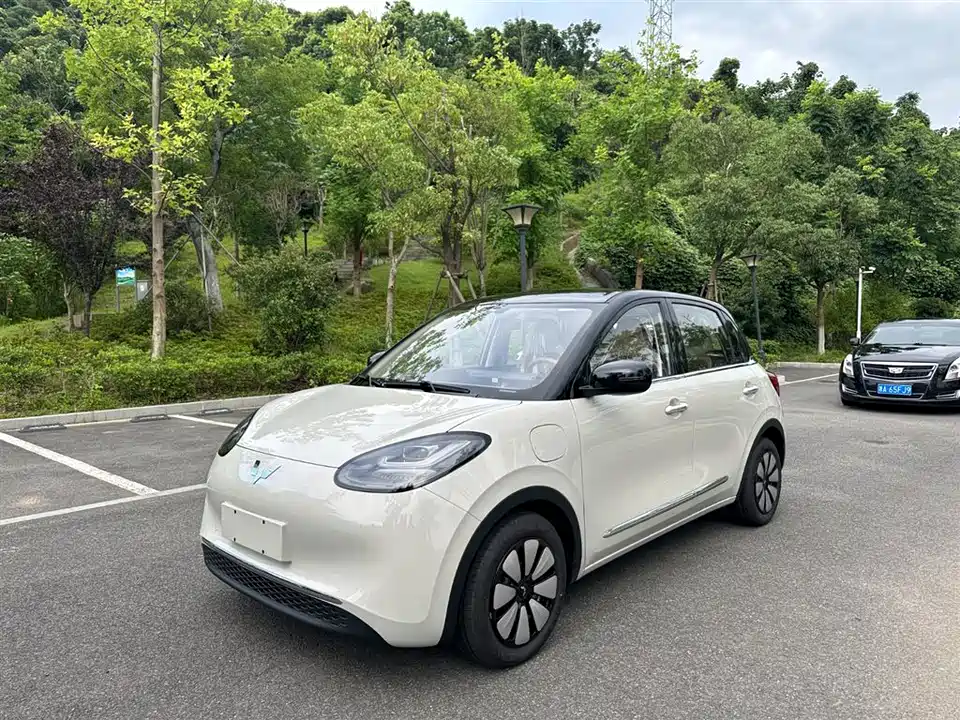 Wuling Wuling Bingguo