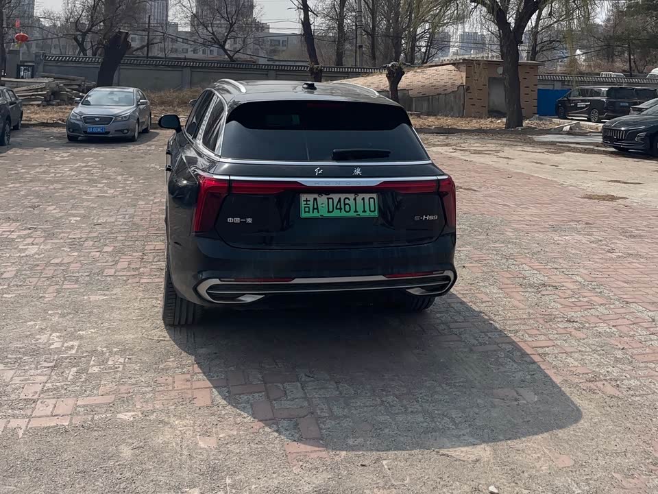 Hongqi E-HS9