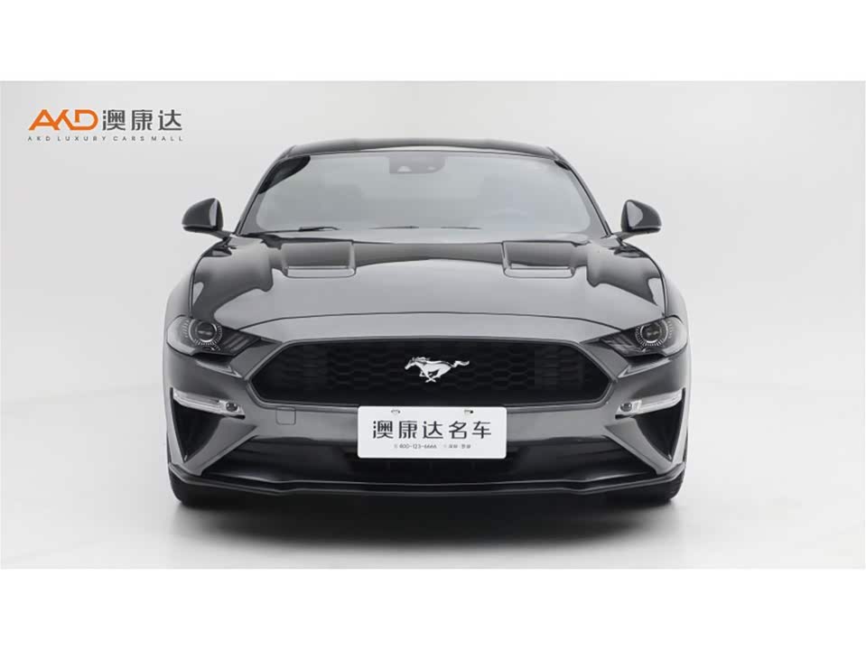 Ford Mustang Ford Mustang