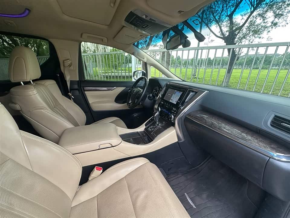 Toyota Elfa