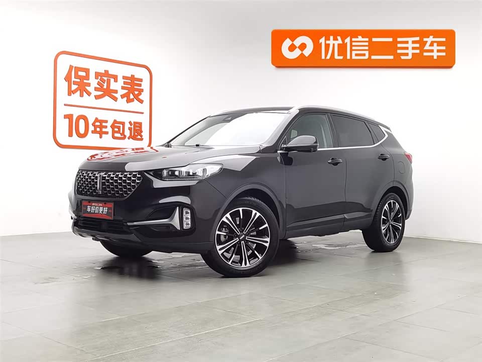 Weipai VV6