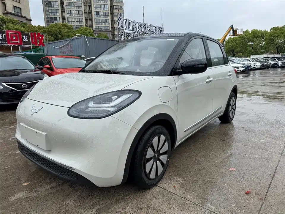 Wuling Wuling Bingguo