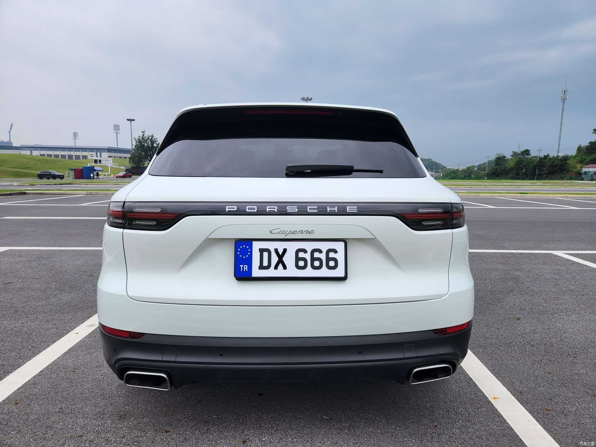 Porsche Cayenne, 2020 все фото