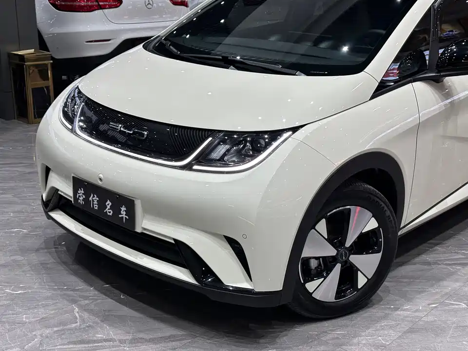 BYD dolphin
