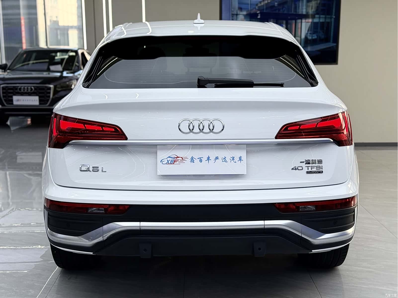 Audi Q5L, 2023 9