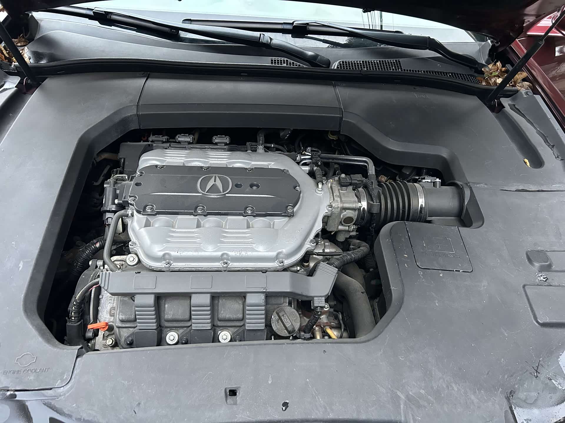 Acura TL, 2014 14