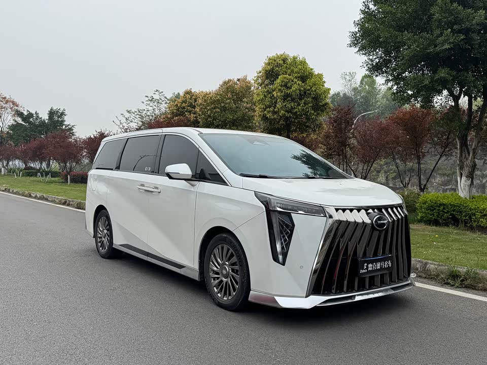 Trumpchi Trumpchi M8