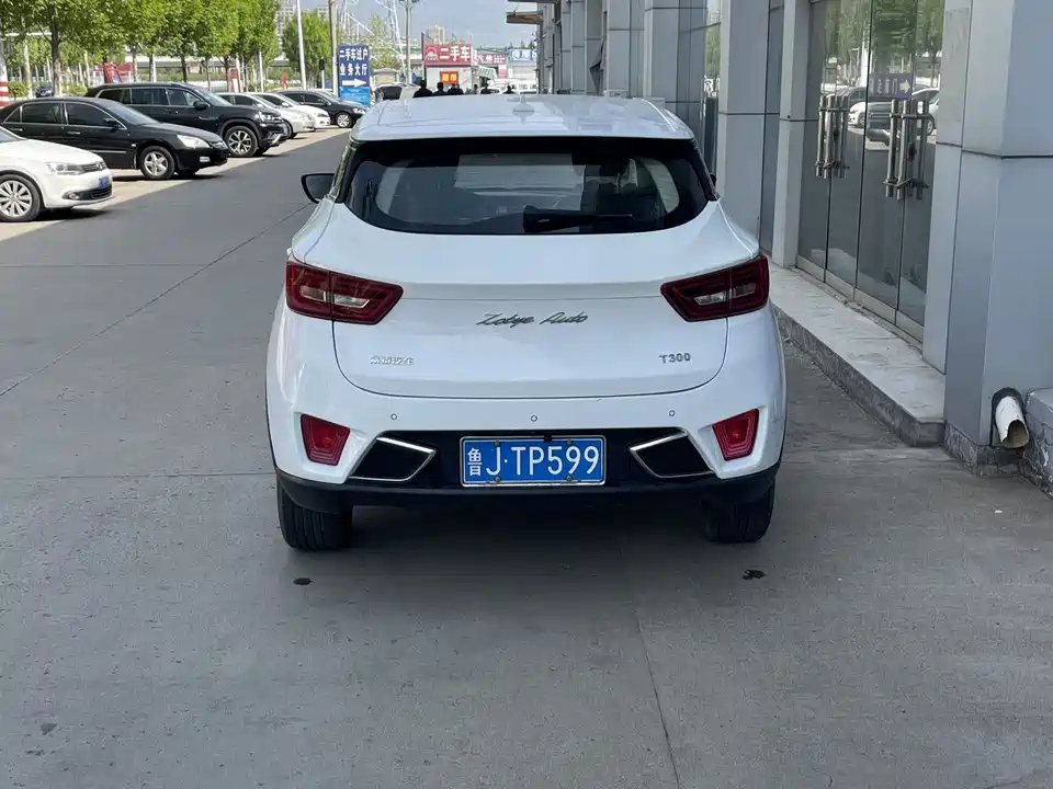 Zotye T300