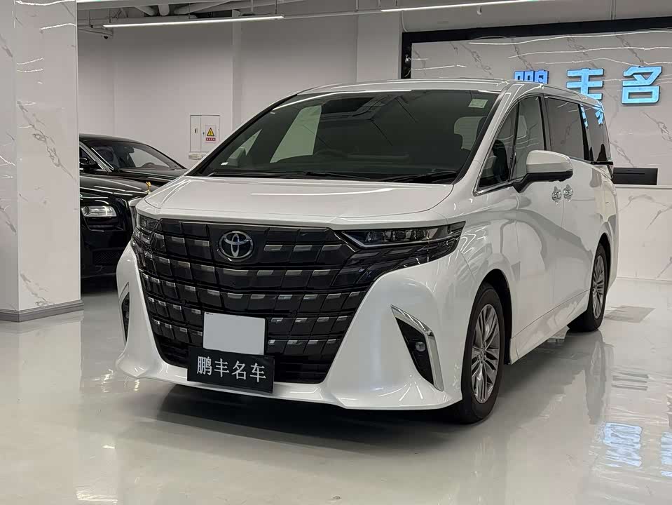 Toyota Elfa