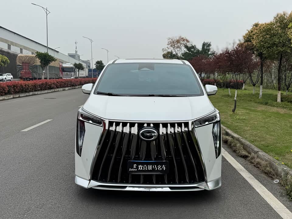 Trumpchi Trumpchi M8