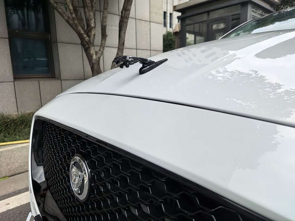 Jiangsu Nanjing Car