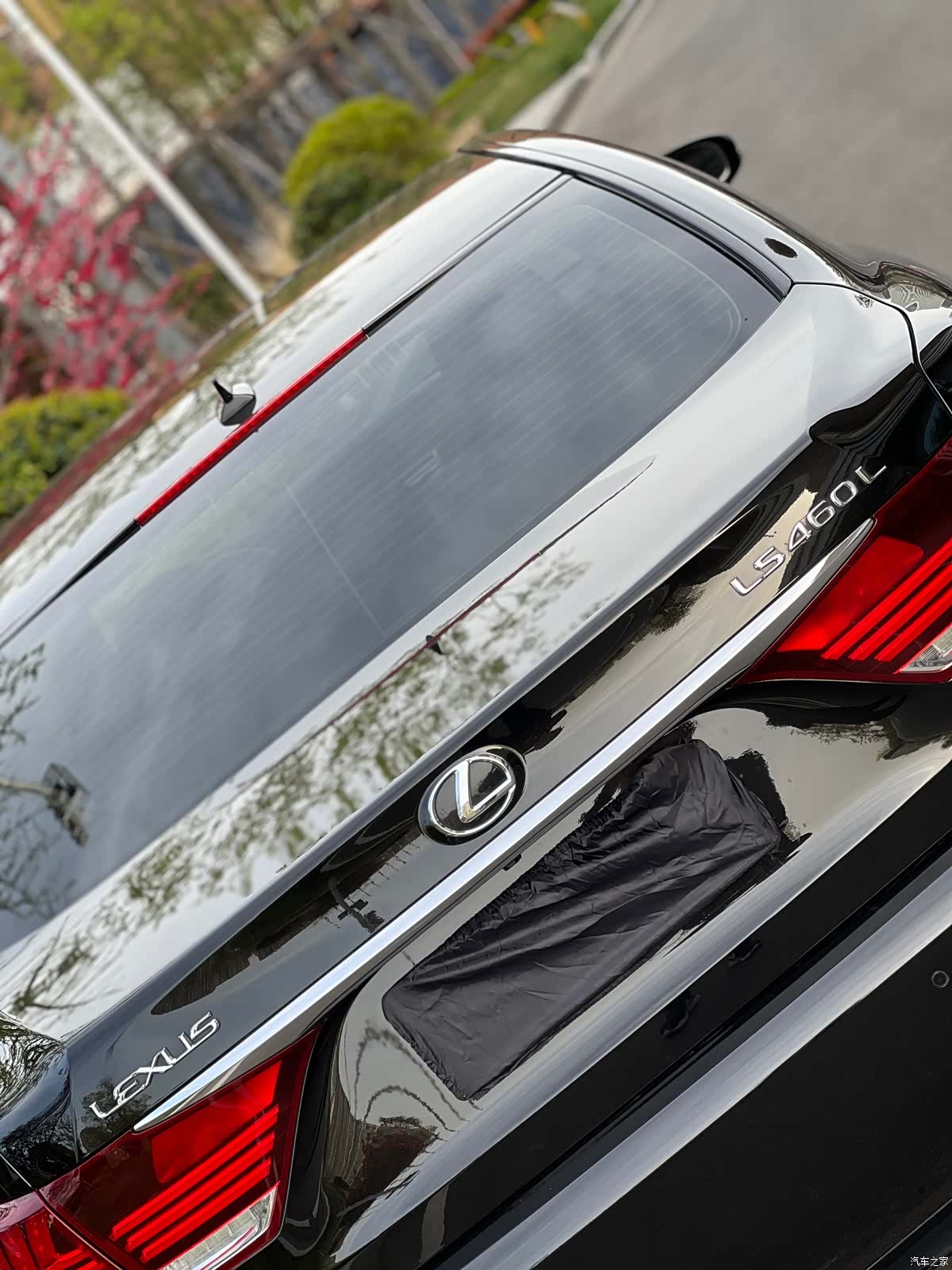 Lexus LS, 2013 10