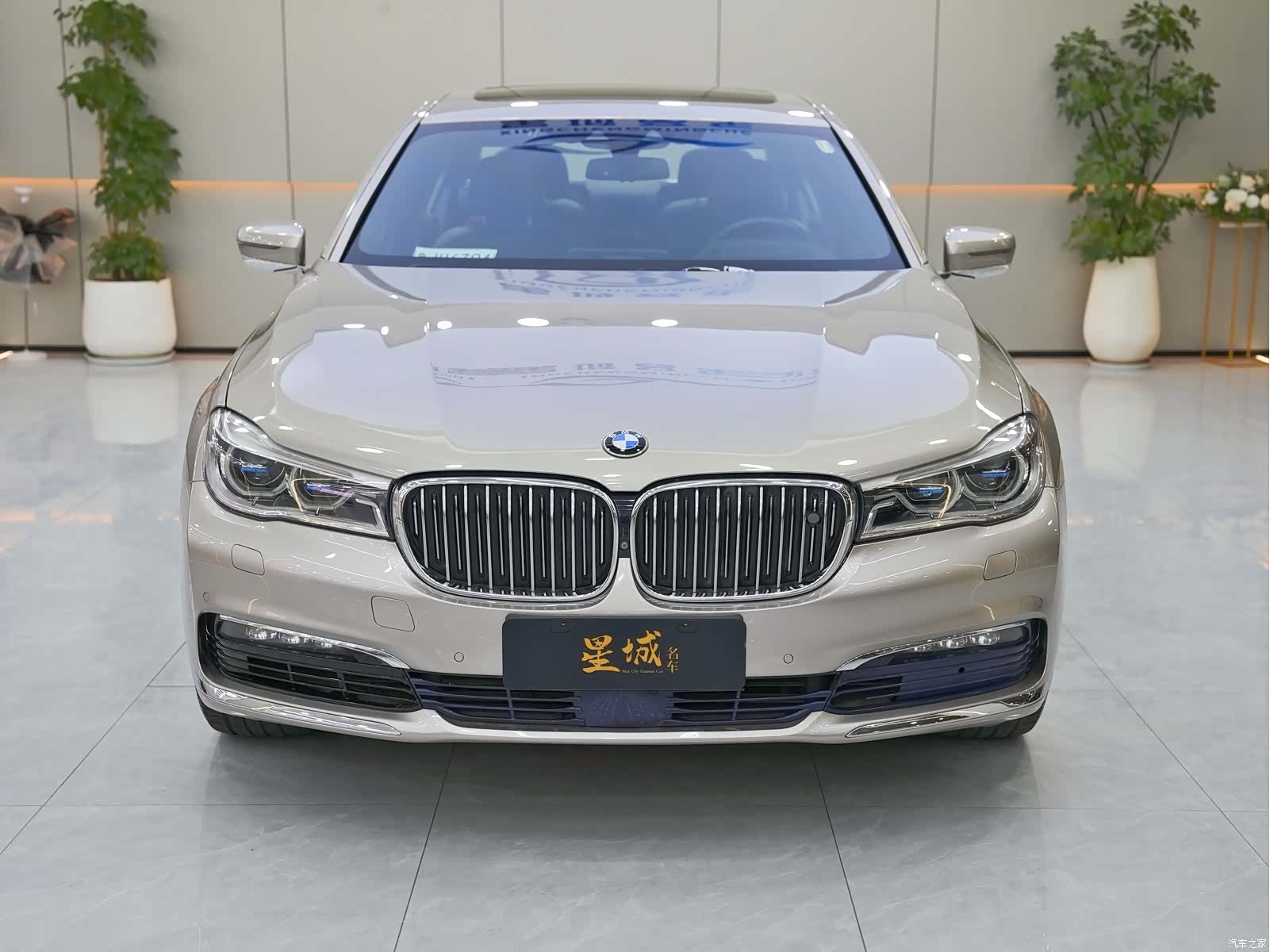 BMW 7 Series, 2016 6