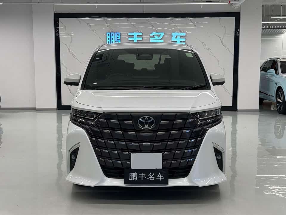 Toyota Elfa
