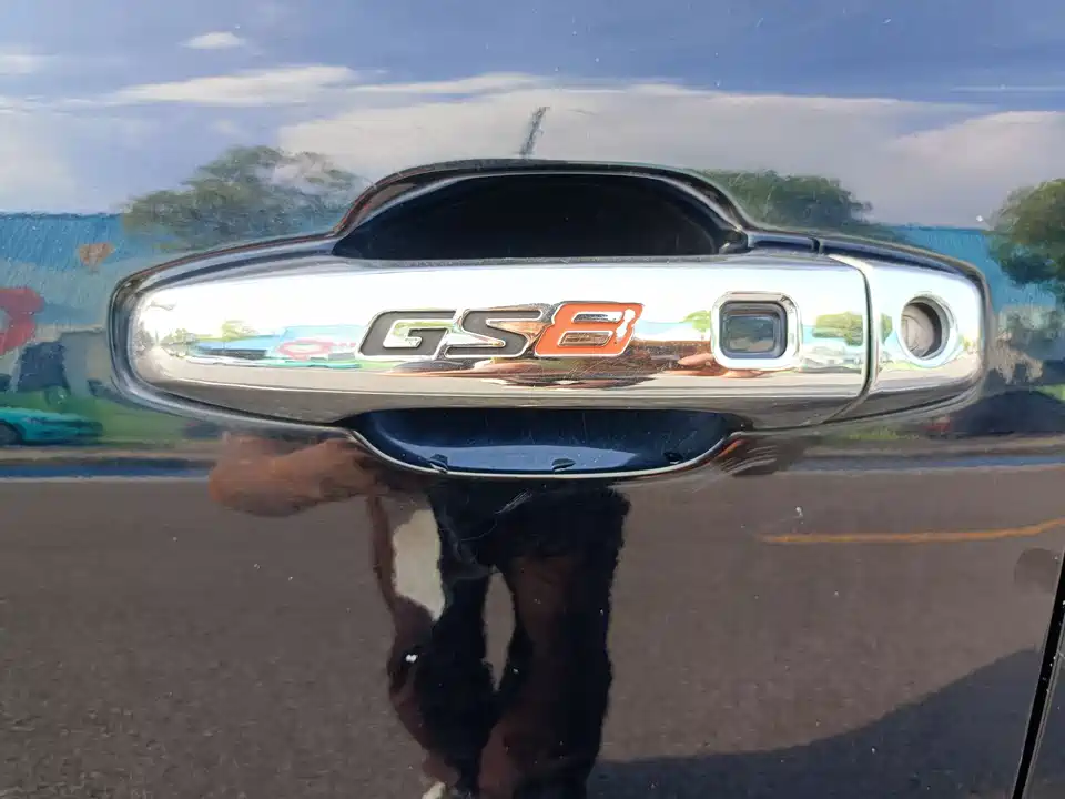 Trumpchi Trumpchi GS8