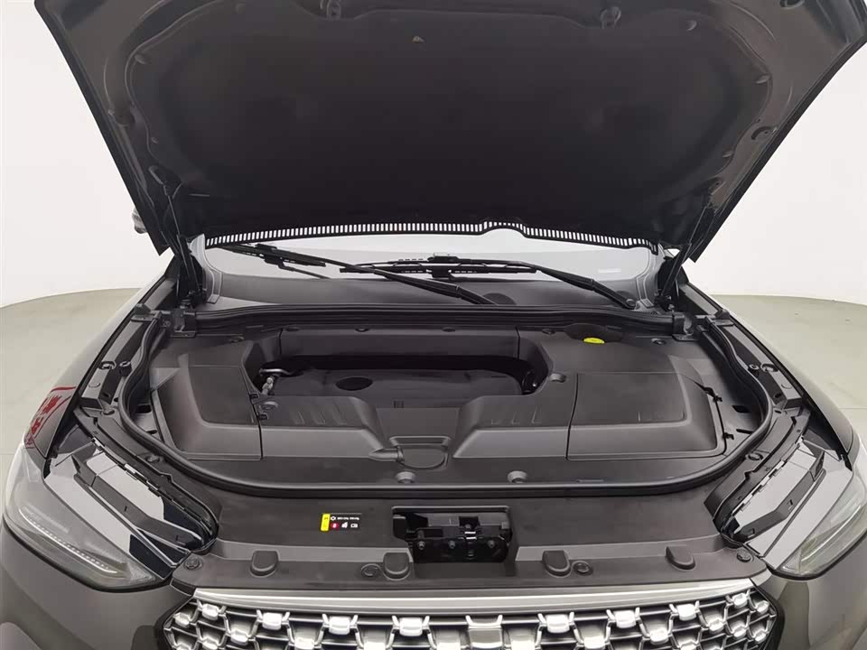 Weipai VV6