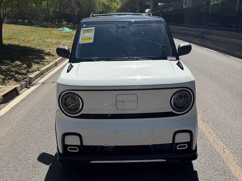 Geely Galaxy panda Geely Galaxy panda