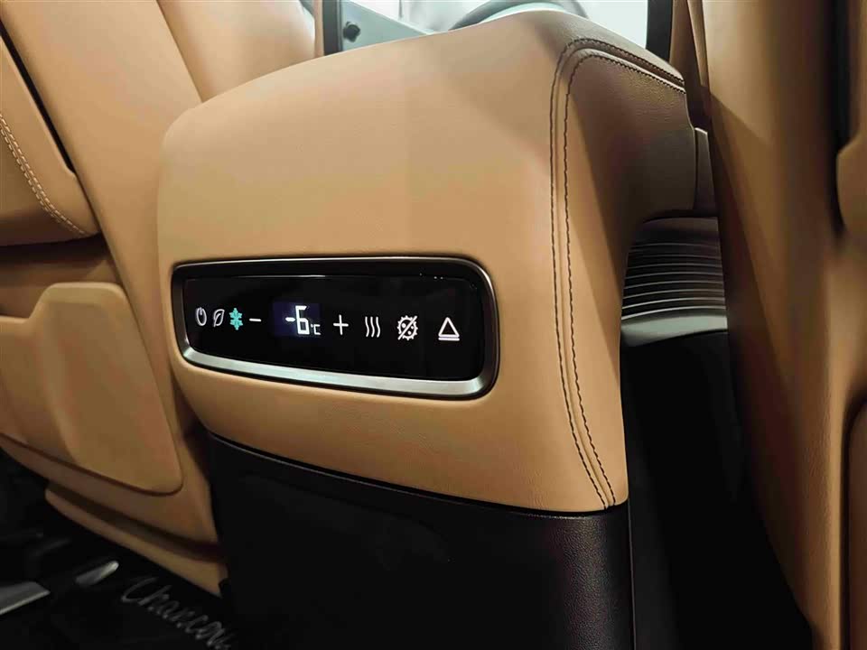 Denza D9