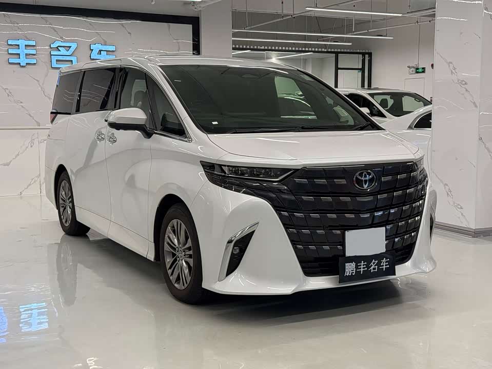 Toyota Elfa