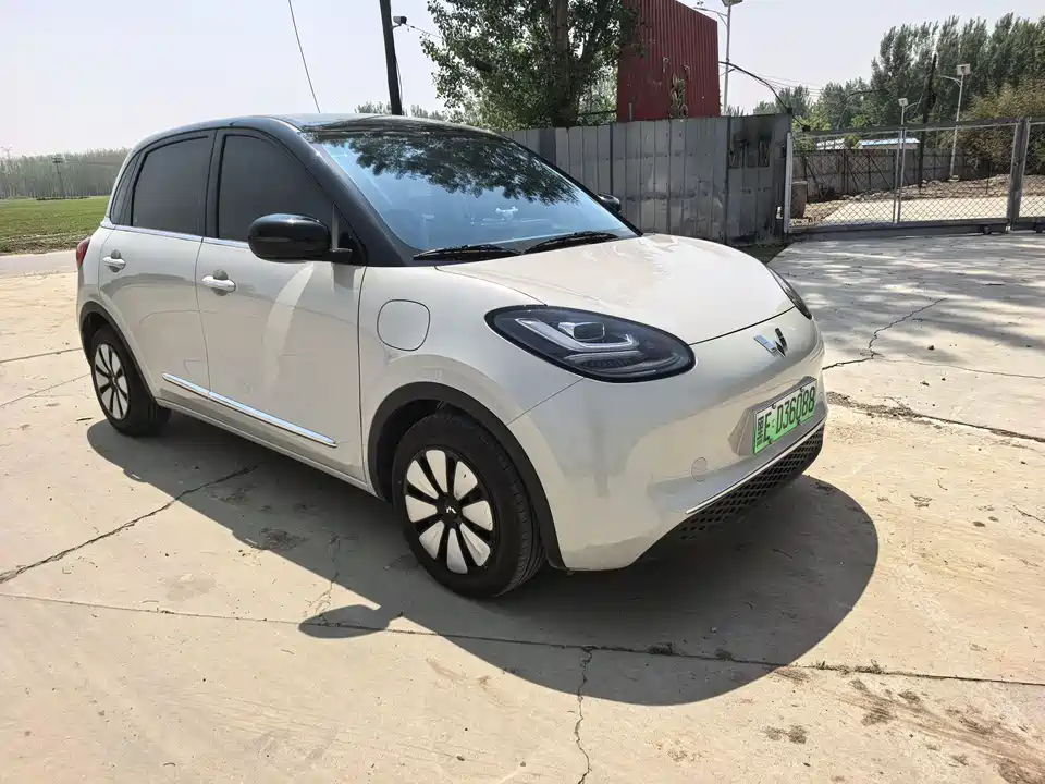 Wuling Wuling Bingguo