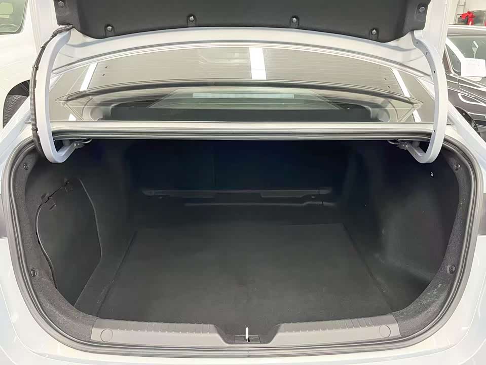 Trumpchi Shadow Leopard Trumpchi Shadow Leopard