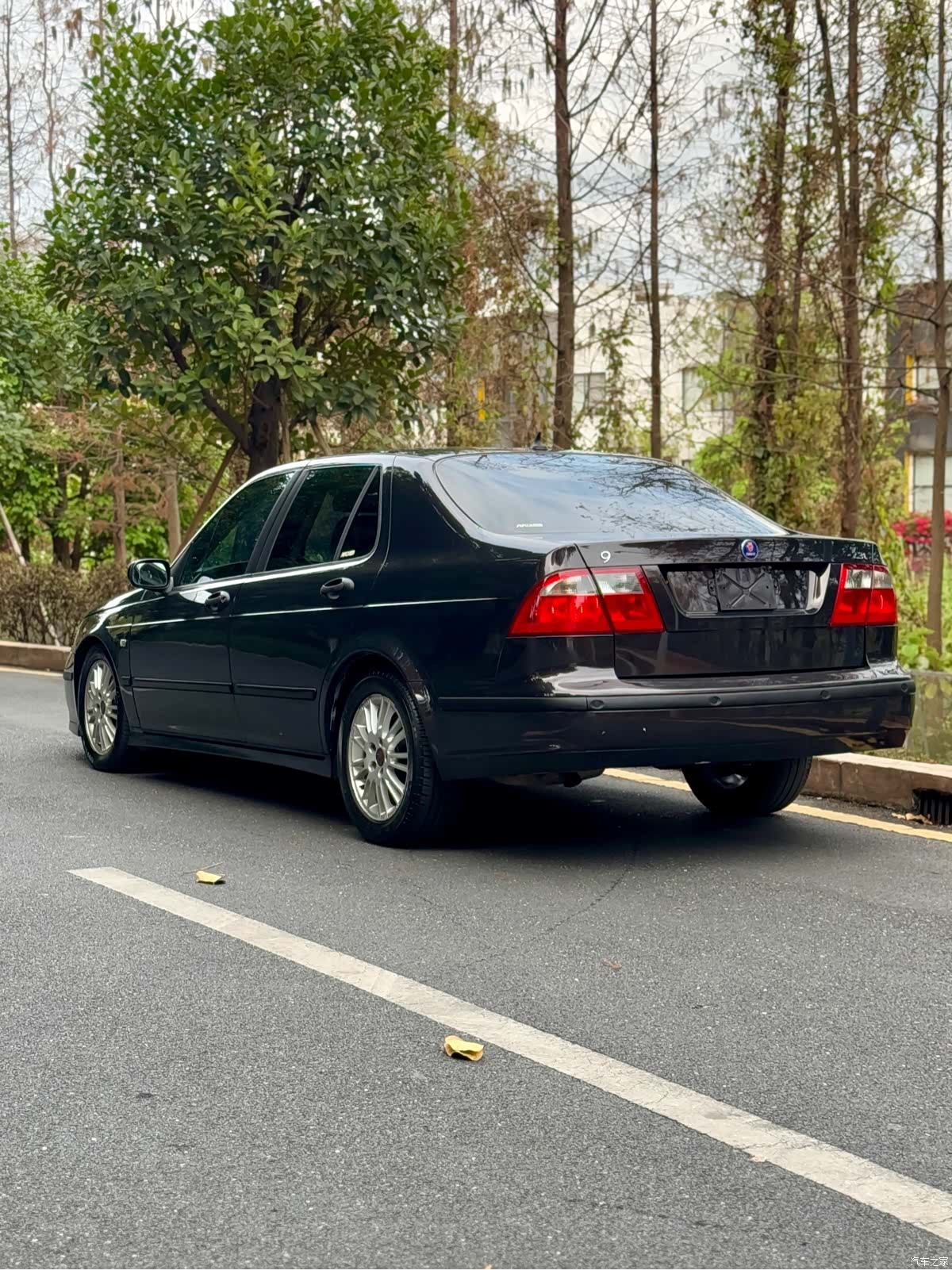SaBo Saab, 2007 8