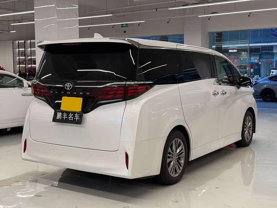 Toyota Elfa
