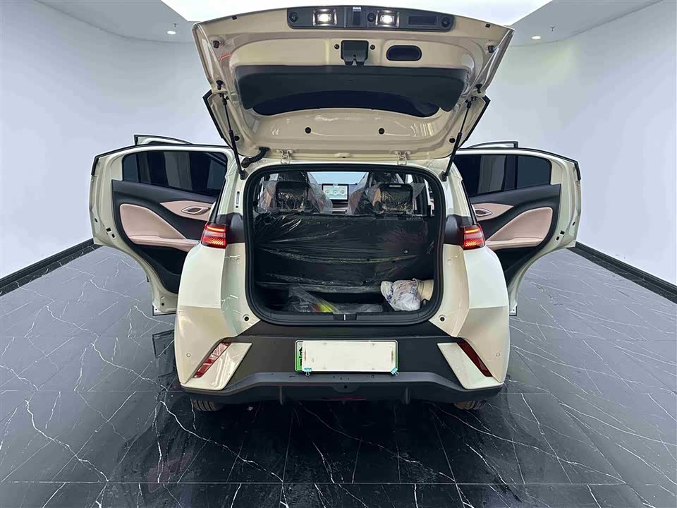 BYD Seagull BYD Seagull