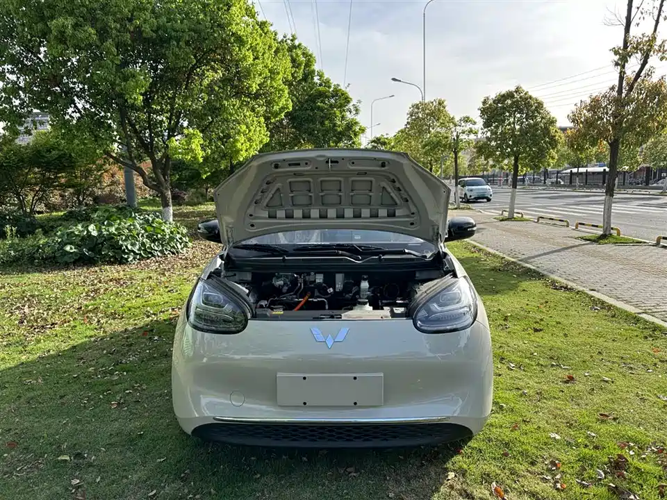 Wuling Wuling Bingguo