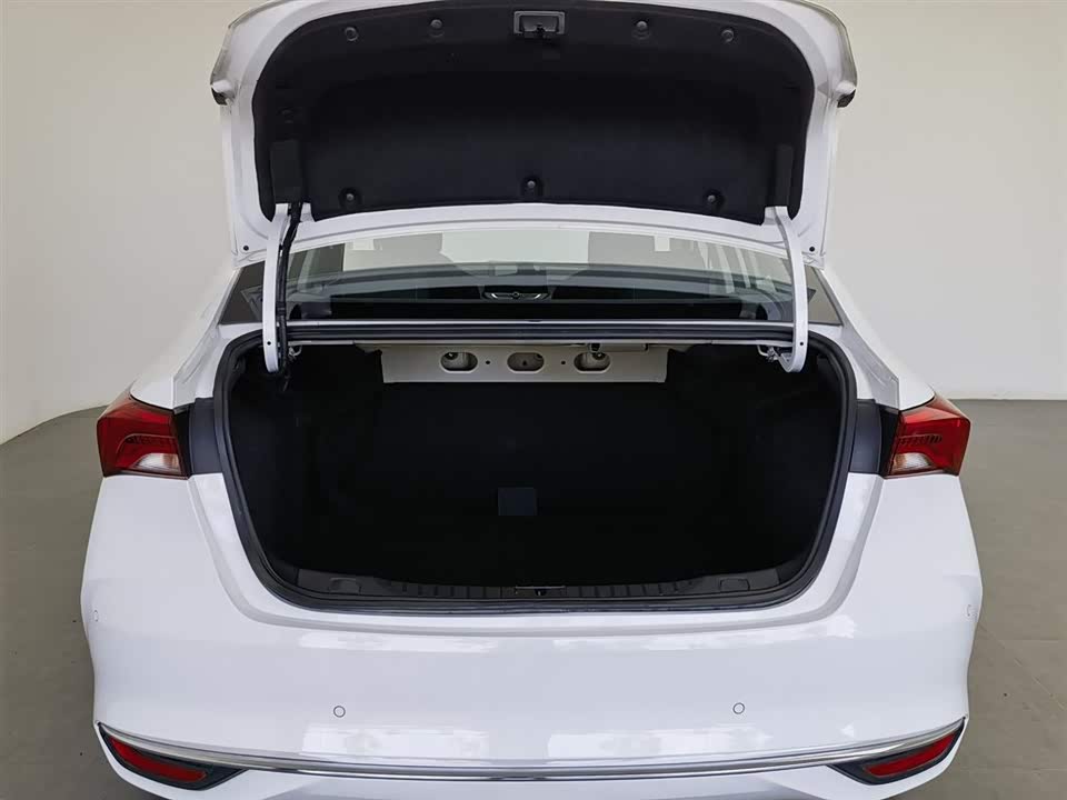 Buick Weilang