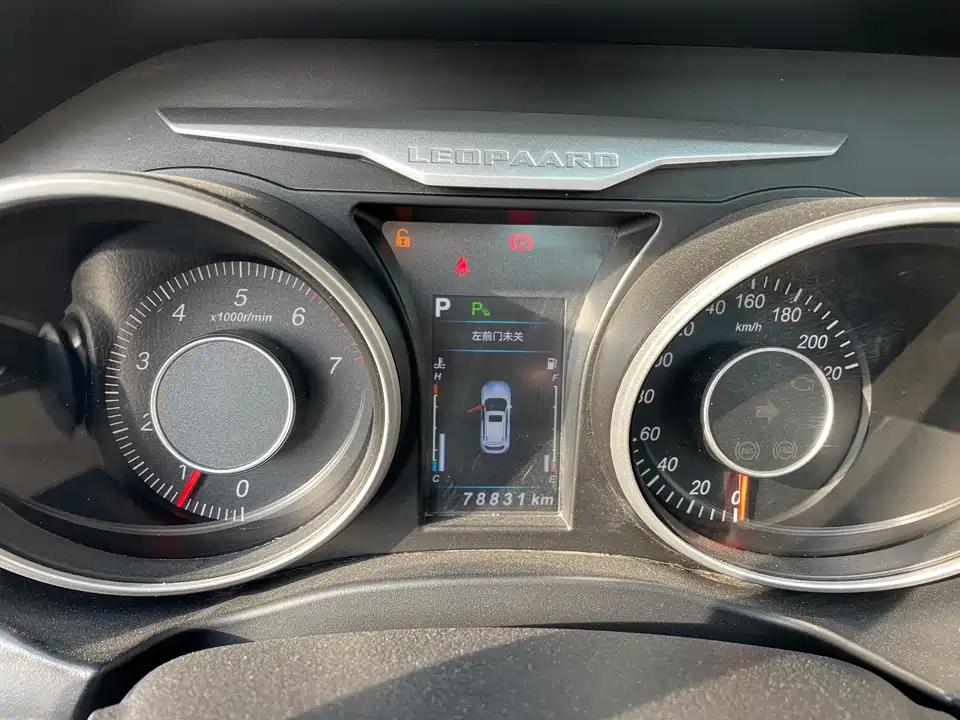 Leopaard Cheetah CS10