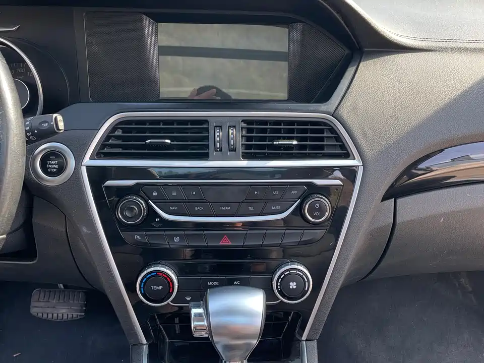 Leopaard Cheetah CS10