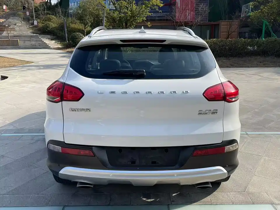 Leopaard Cheetah CS10