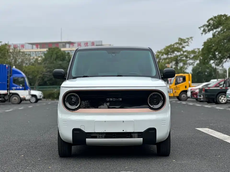 Geely Galaxy panda