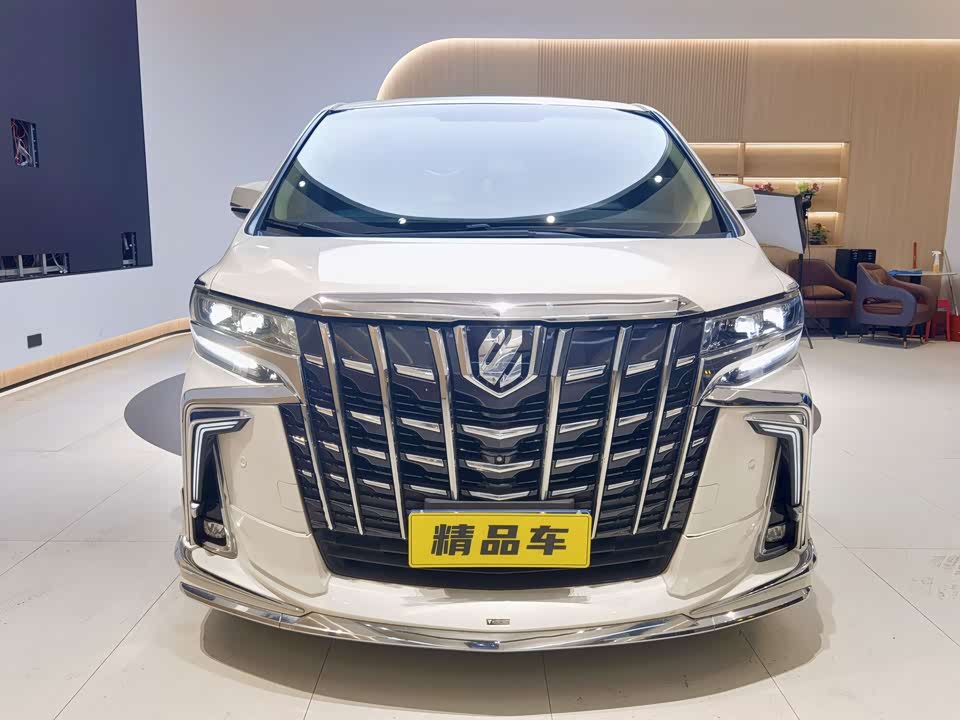 Toyota Elfa