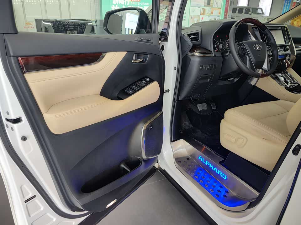 Toyota Elfa