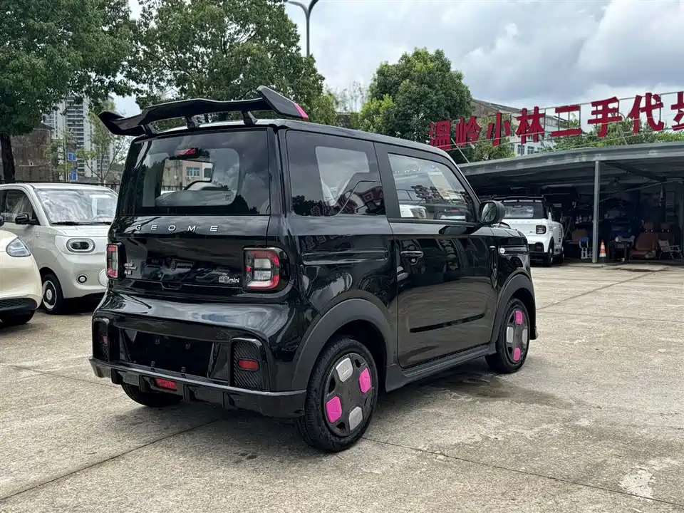 Geely Galaxy panda