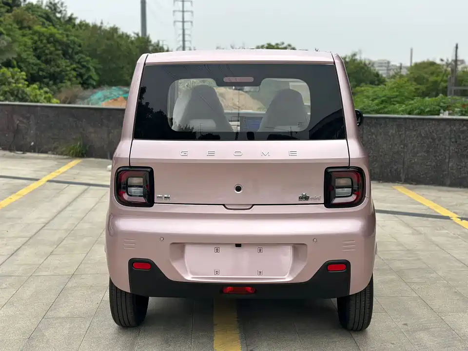Geely Galaxy panda