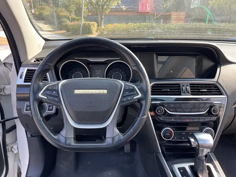 Leopaard Cheetah CS10