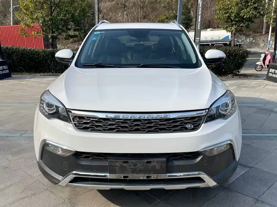 Leopaard Cheetah CS10