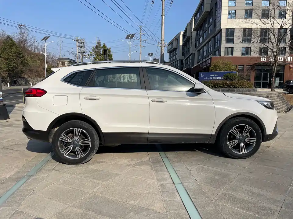 Leopaard Cheetah CS10