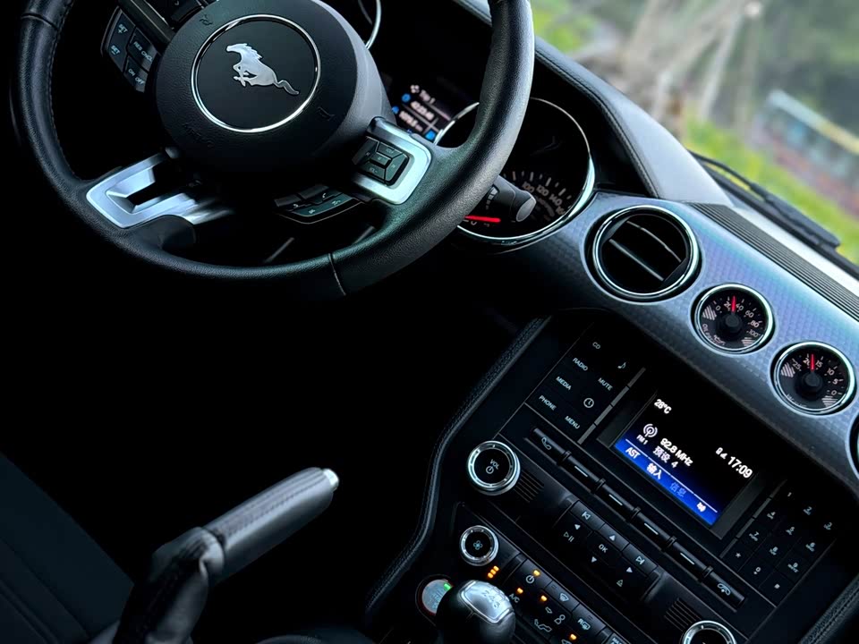 Ford Mustang Ford Mustang