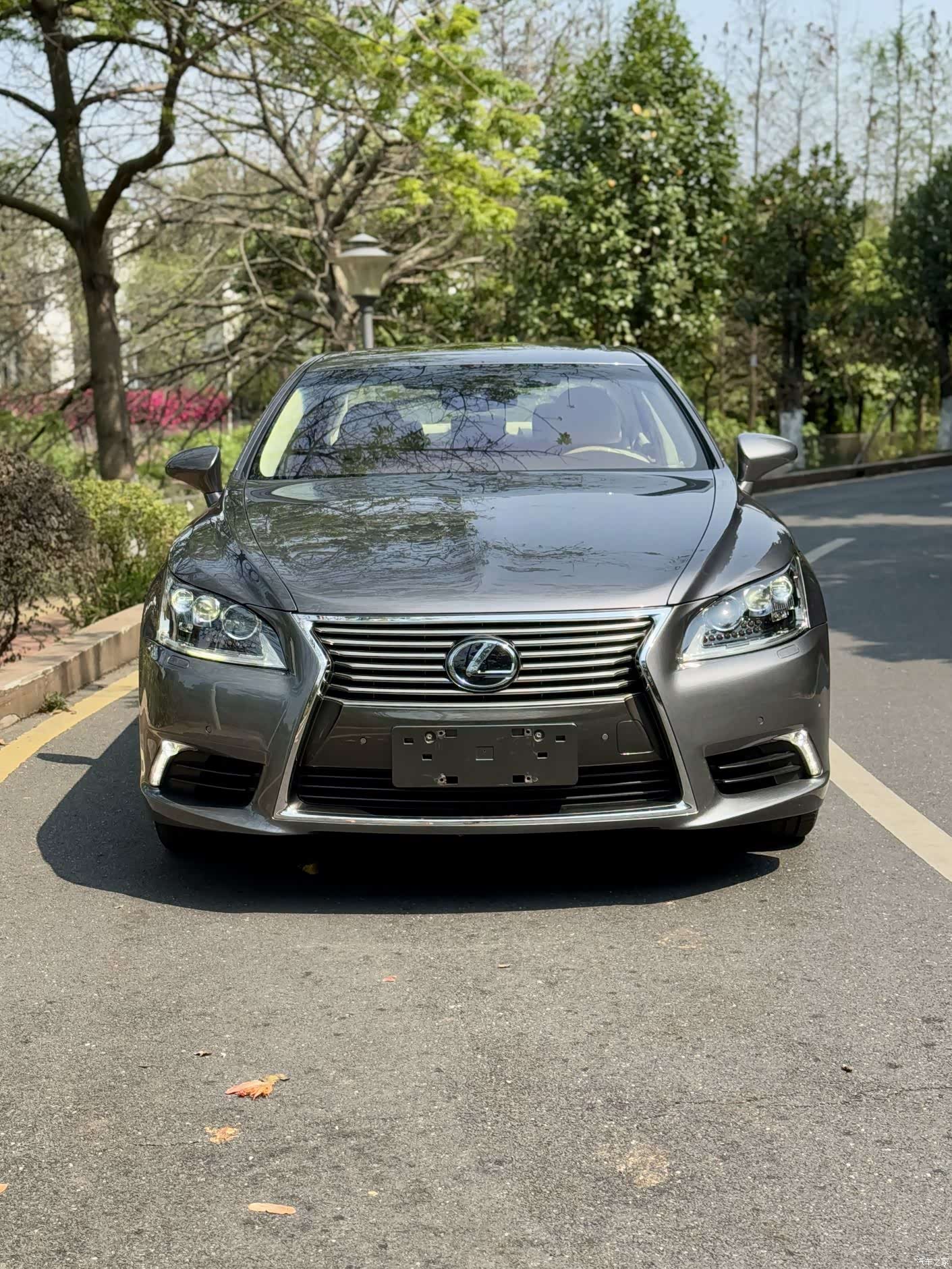 Lexus LS, 2016 2