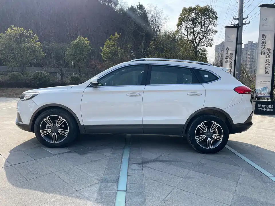 Leopaard Cheetah CS10