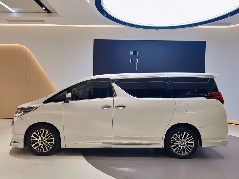 Toyota Elfa