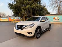 ¥�� 2019�� 2.5 S/C HEV XL �����춯�������� ��VI