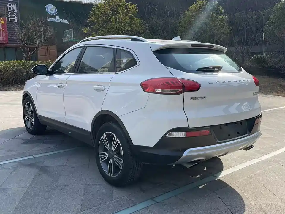 Leopaard Cheetah CS10