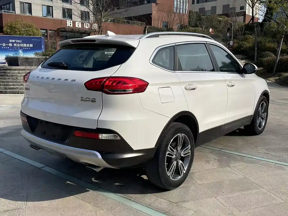 Leopaard Cheetah CS10