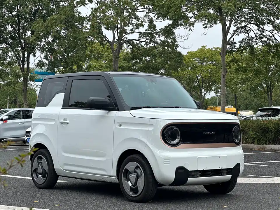 Geely Galaxy panda
