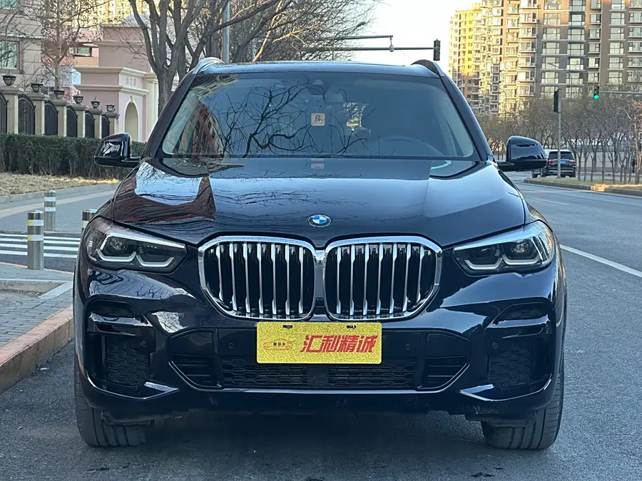 BMW X5 (imported)